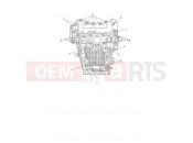 Crankcase Bolts - Triumph SPEED TRIPLE 1200 RS 2022