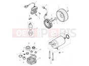 Triumph 2015 SCRAMBLER EFI Starter & Alternator