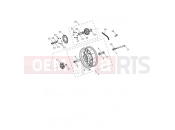 Rear Wheel - Triumph Speed Twin 1200 2022