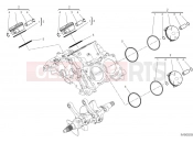 Cylinders & pistons - Ducati Panigale V4 R 2024