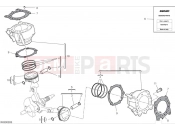 DUCATI 2024 DesertX Rally Cylinders & pistons