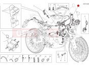 DUCATI 2024 DesertX Vehicle electric system