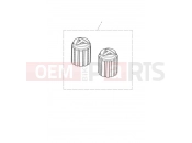 TRIUMPH Tiger 900 Rally Pro Valve Cap Kit, Laser Etch