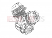 MOTOGUZZI V7 Stone 850 (AU, ID, JP, KR, RP, SG, VN, ZC) Engine-Completing part-Lever
