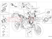 Vehicle electric system - Ducati Hypermotard 950 SP 2024