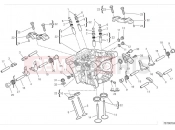 DUCATI Monster Vertical cylinder head