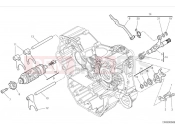 DUCATI Monster Plus Shift cam & fork