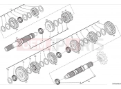 DUCATI Scrambler Nightshift Transmission