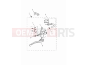 Triumph 2024 Speed Twin 900 Front brake master cylinder