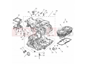 TRIUMPH STREET SCRAMBLER Crankcase & Fittings