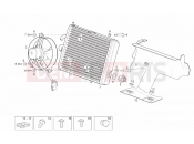 Water cooler - Derbi Rambla 125-250 2010