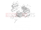 TRIUMPH Tiger 1200 Rally Explorer crankcase & fittings