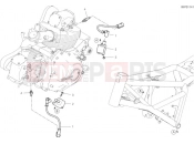 DUCATI 2020 Scrambler Cafe Racer Wiring Harness (Coil)