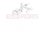 Evap System - Triumph Speed Twin 1200 2023