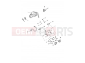 Throttle Bodies - Triumph Speed Twin 1200 2023