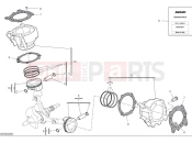 DUCATI 2025 Desert X Rally Cylinders