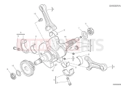 DUCATI 2025 Desert X Rally Crankshaft