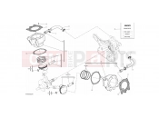 DUCATI 2018 Multistrada 950 Spoked Wheels CYLINDERS - PISTONS