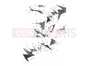 TRIUMPH Daytona 660 Side Fairings