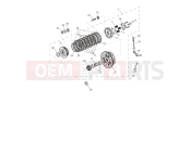 Triumph 2024 Speed Twin 1200 Clutch