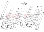 DUCATI Diavel V4 Front fork