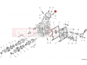 DUCATI Monster SP Horizontal head timing system