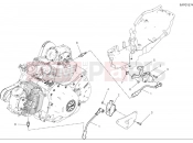 DUCATI 2025 Scrambler Nightshift Wiring harness