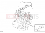 DUCATI 2024 Multistrada V4 Pikes Peak Engine electric system