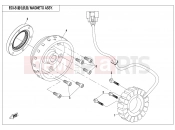 CFMOTO 2017 SSV ZFORCE 800 (CF800) MAGNETO ASSY.(HIGH POWER) - E03-B