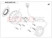 CFMOTO 2020 SSV ZFORCE 800 (CF800) MAGNETO ASSY.(HIGH POWER) - E03-B