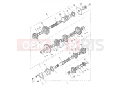 TRIUMPH DAYTONA 660cc > CM3406 Transmission