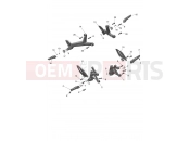 Foot Controls - Triumph DAYTONA 660cc - CM3407 > 2026