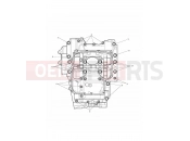 Crankcase Bolts - Triumph Tiger Sport 800 2025