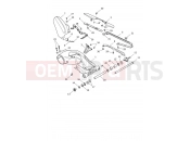 TRIUMPH SPEED TRIPLE 1200 RS - CD3148 > Swingarm Assembly