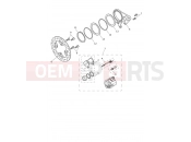 Rear Brake Caliper & Discs - Triumph SPEED TRIPLE 1200 RS - CD3148 > 2025