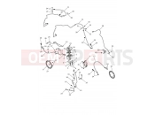 ABS System - Triumph SCRAMBLER 1200 XE - CL1737 > 2024
