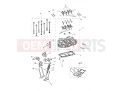 Triumph 2025 SPEED TWIN 1200 Cylinder Head & Valves