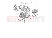TRIUMPH SPEED TWIN 1200 Crankcase & Fittings