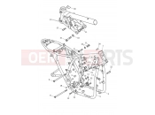 TRIUMPH SPEED TWIN RS 1200 Main Frame Assembly