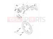 TRIUMPH TIGER 900 Rear Brake Caliper & Discs