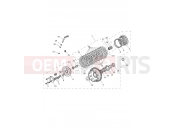 TRIUMPH TIGER 900 Clutch