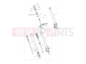 TRIUMPH TIGER 900 Front Forks & Lower Yoke Assy