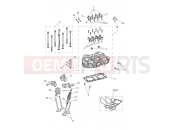 Triumph 2026 SCRAMBLER 900 - Liquid Cooled - CM9964 > Cylinder Head & Valves