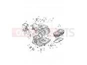 Triumph 2026 SCRAMBLER 900 - Liquid Cooled - CM9964 > Crankcase & Fittings