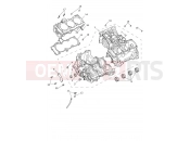 Triumph 2026 Tiger 1200 Desert Crankcase & Fittings