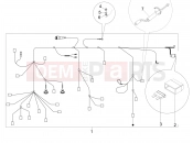 Main cable harness - Piaggio Typhoon 50 4T E2 (CA, US) 2025