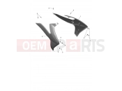 TRIUMPH TF250-E Side Panels