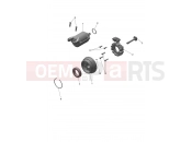 Alternator & Starter Motor - Triumph TF250-X CS6090 > 2023