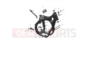 Main Frame Assembly - Triumph TF250-X CS6090 > 2024