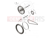 Rear Wheel - Triumph TF250-X CS6090 > 2025